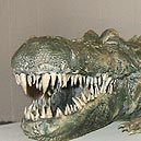 ceramic crocodile